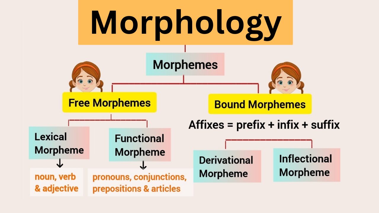 Morphology in linguistics